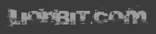 LionBit Banner LionBit Banner